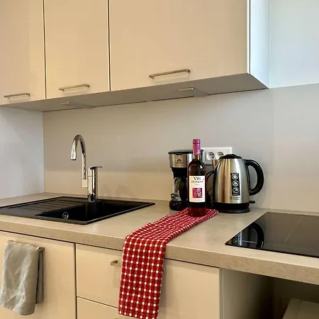 Apartmán Moderne, 2 Couchages, Climatise Avec Parking A Loubet - Fr-1-252a-19 Villeneuve-Loubet